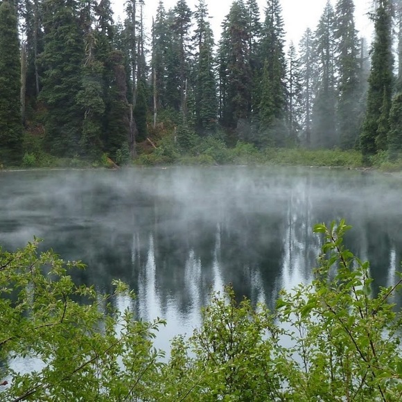 Meet your Posher, Alondra - Picture 1 of 1